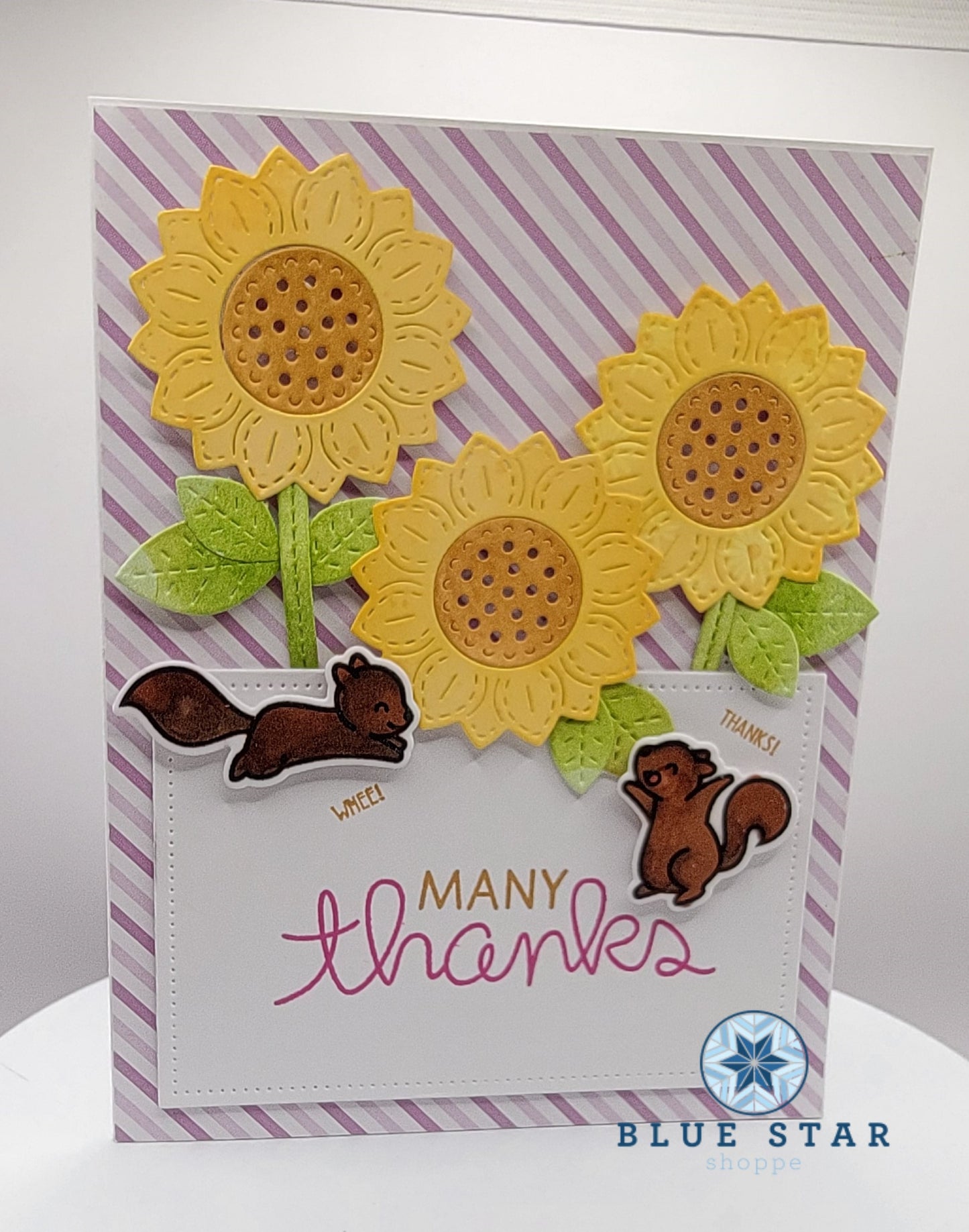 Many thanks - sunflowers and squirrels