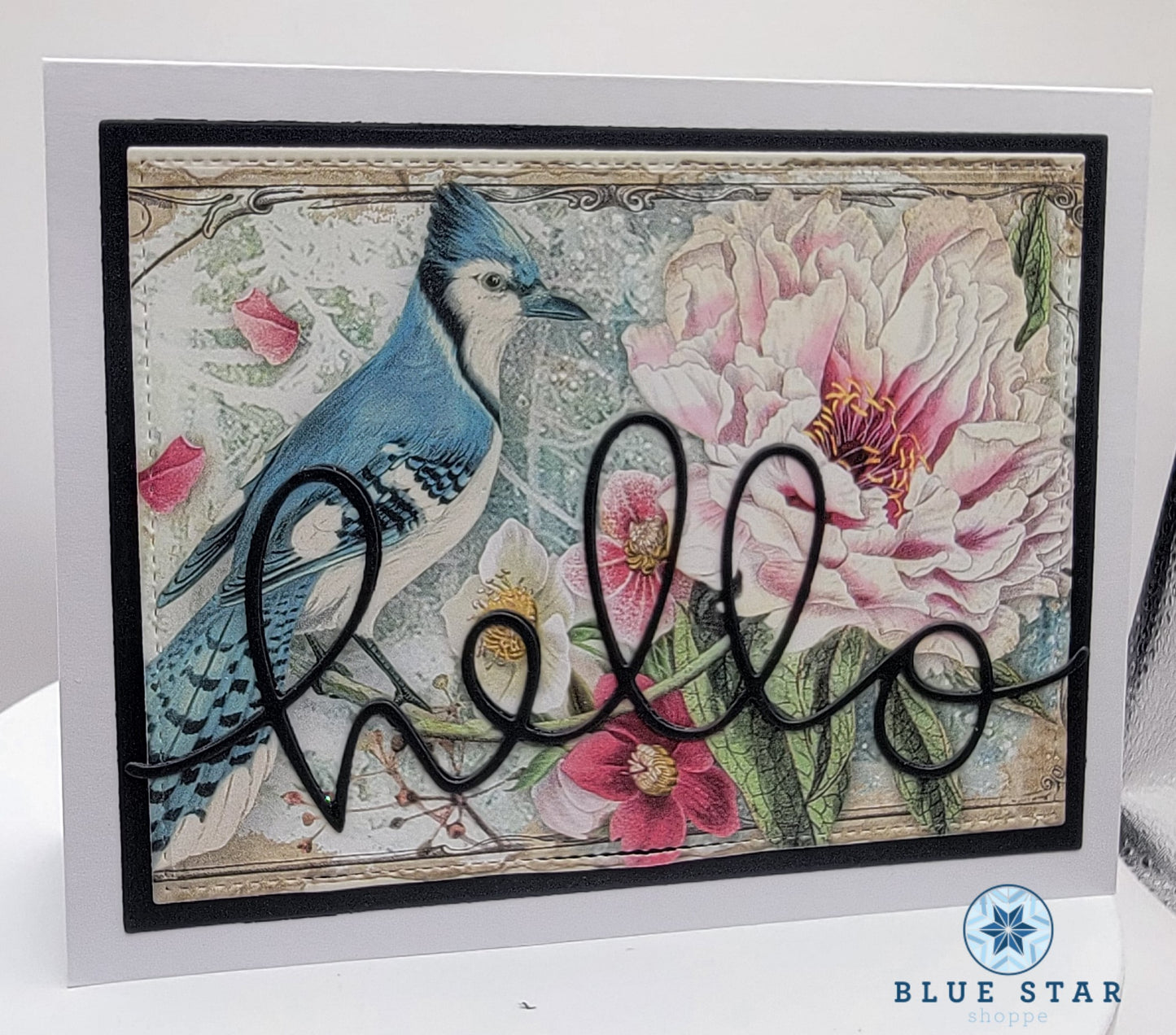 Hello (with blue jay)