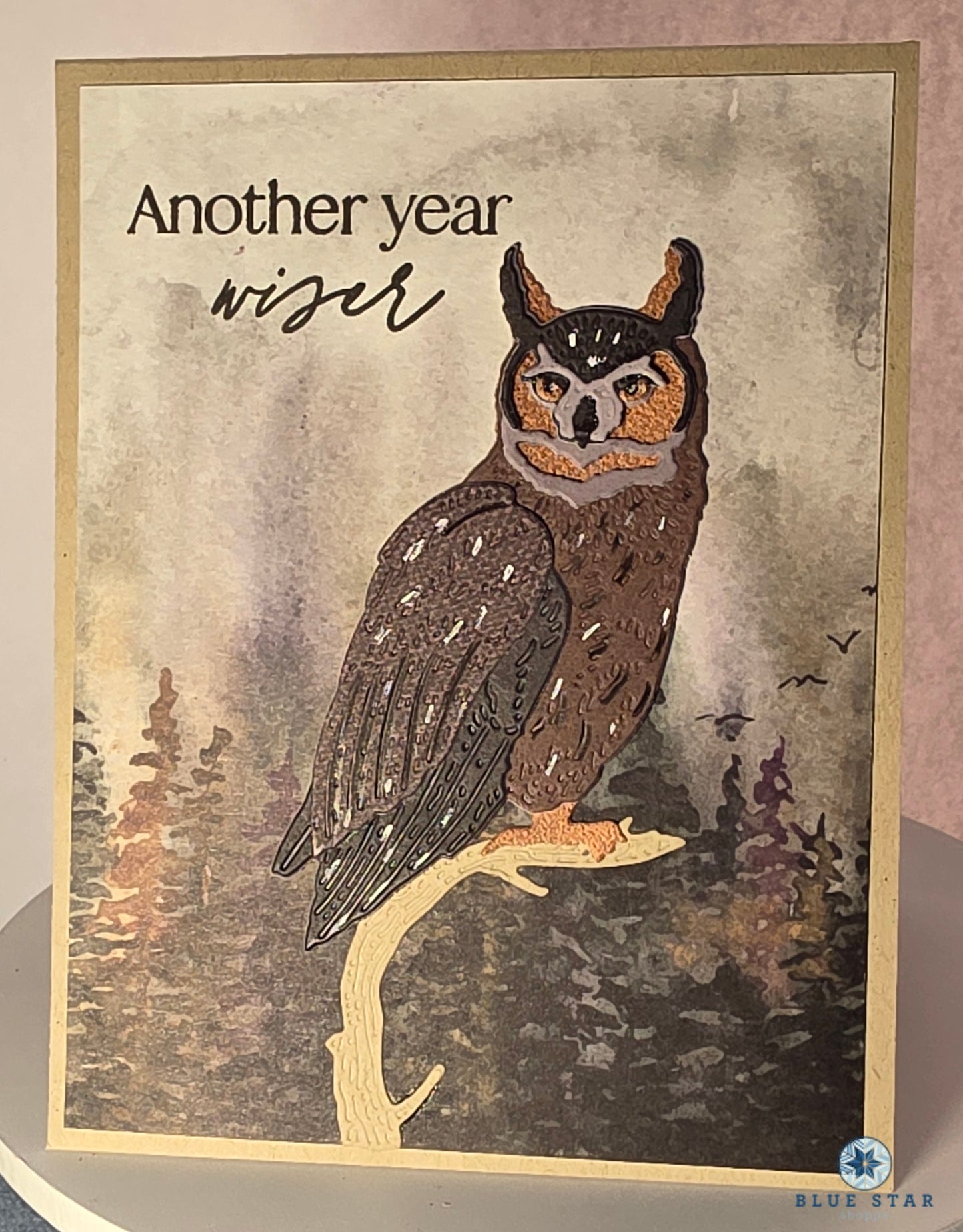 Another year wiser (birthday)