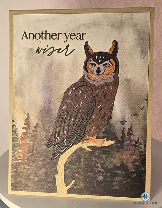 Another year wiser (birthday)